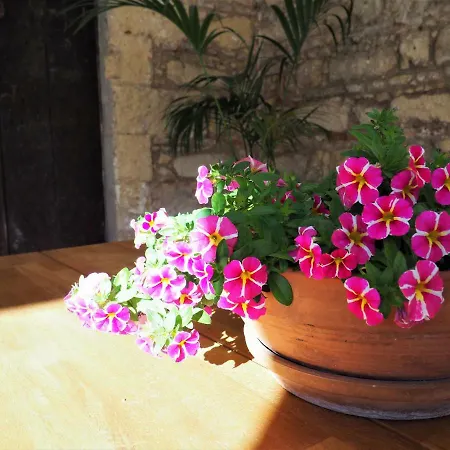 Cream Loft Siente Jerez Parking Incluido *